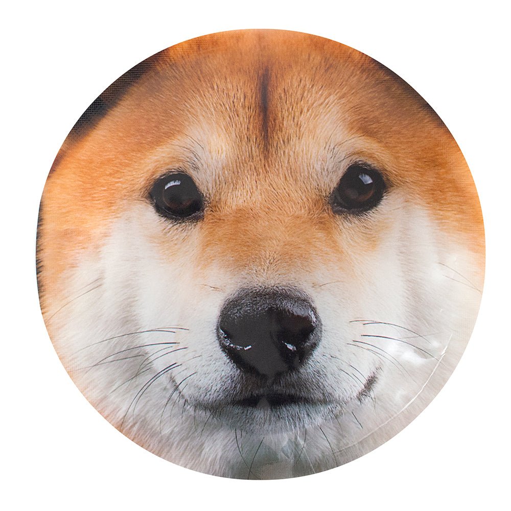 2 Blocs réfrigérants animaux GEO - Trippin Store