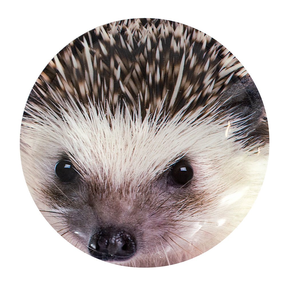 2 Blocs réfrigérants animaux GEO - Trippin Store